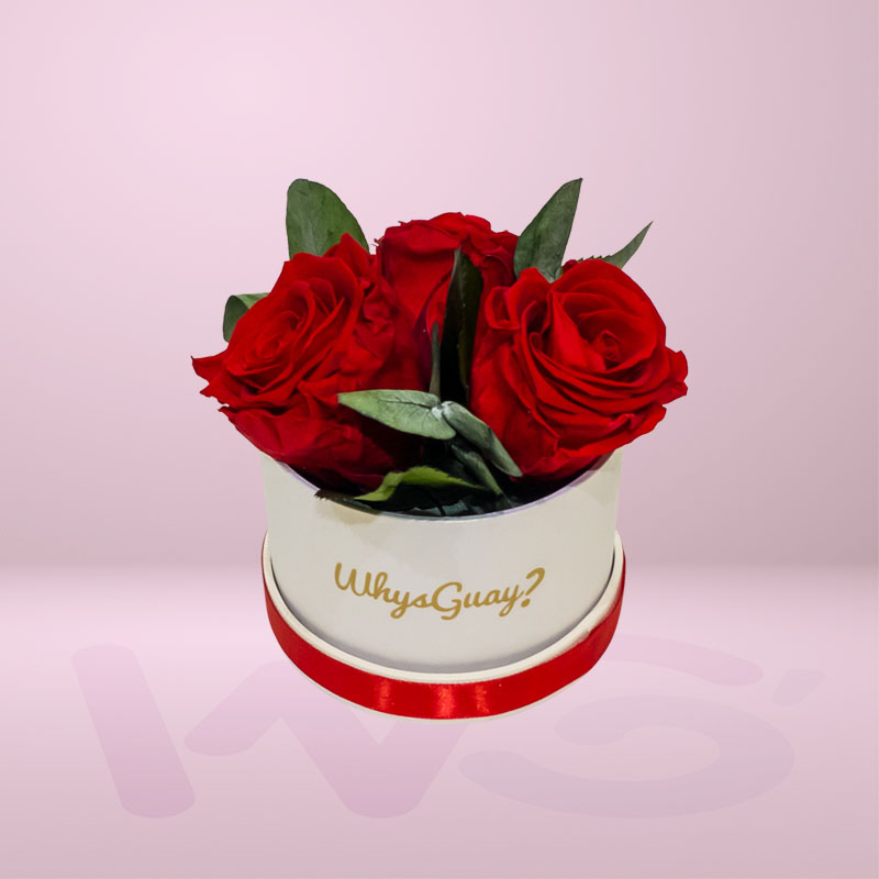 Cajas de Rosas Preservadas