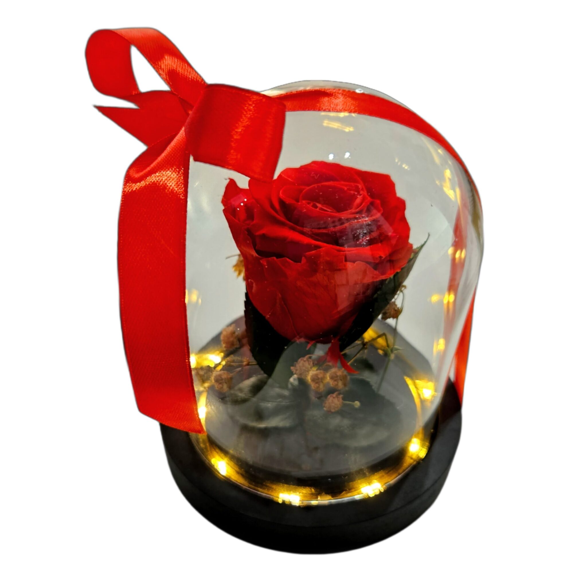 Rosa la bella y la bestia ( con luz )