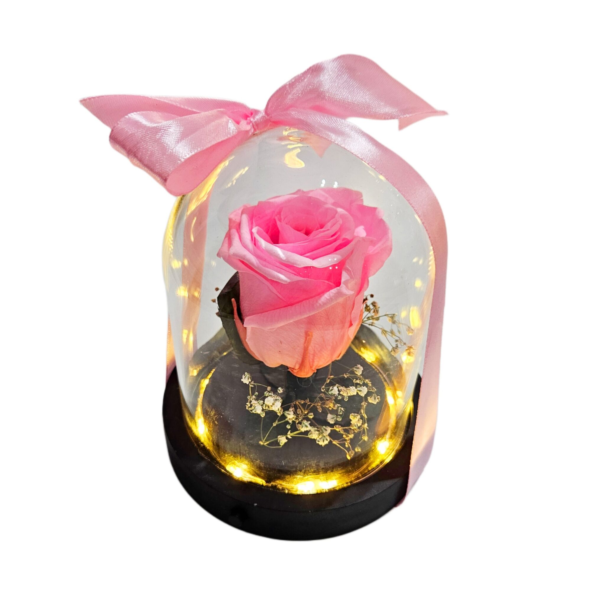 Rosa la bella y la bestia ( con luz )