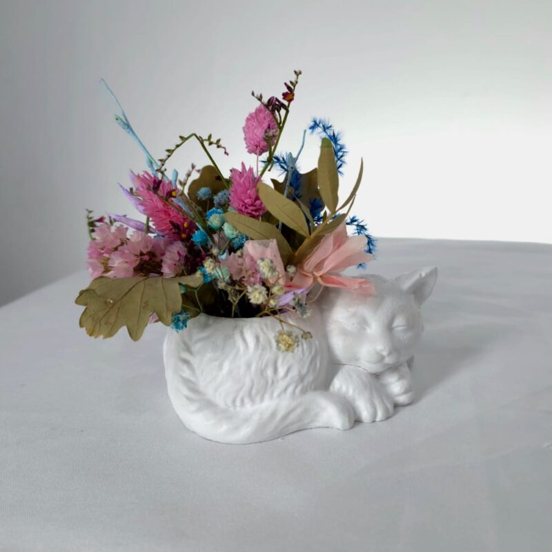 Gatito con Flores Preservadas