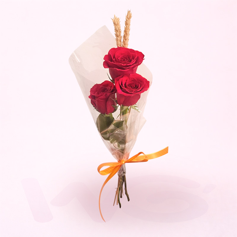 3 rosas rojas Sant Jordi