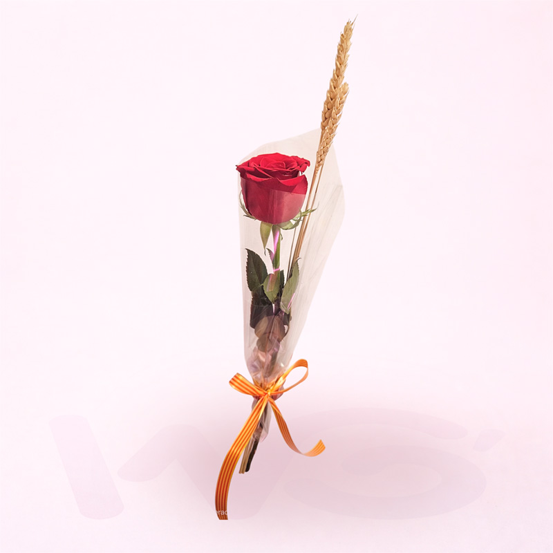 Rosa Unitaria Sant Jordi