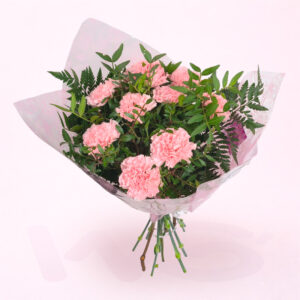 Ramo de Claveles Rosados