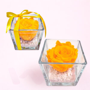 Rosa Preservada Cubic