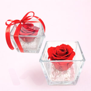 Rosa Preservada Cubic