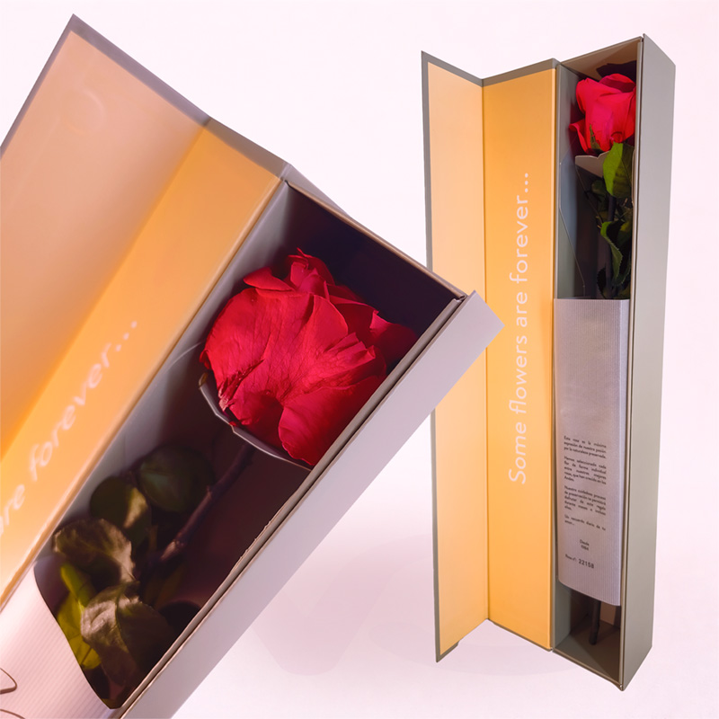 Rosa de Larga Vida roja en caja decorativa tipo estuche elegante
