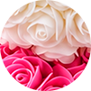 Blanco con Rosa