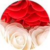 Rojo con Blanco